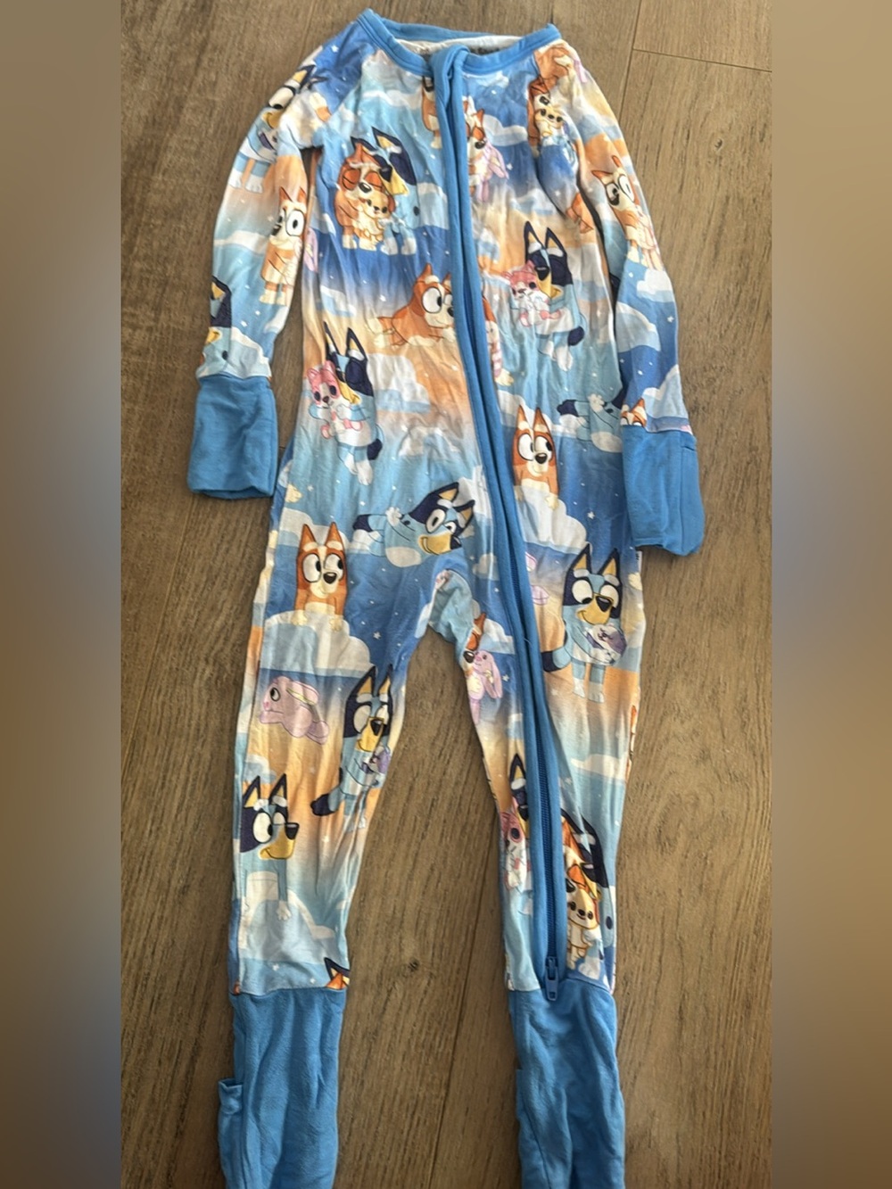 Blue Kids One-Piece Zipper Sleepwear with Cartoon Pup Print little Sleepies 6-12